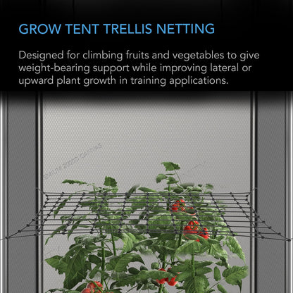 AC Infinity Grow Tent Trellis Netting 5x5', Heavy-Duty Elastic Plant Net with Steel Hooks, Flexible Hydroponics Support for Grow Tents, Gardening, and Horticulture