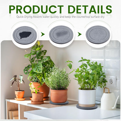 3 PCS Diatomite Plant Saucers for Indoors, Instant Dry Pot Saucers for Plants Coasters, Diatomaceous Earth Planter Tray, Dark Gray Flower Pot Tray (Round 8")