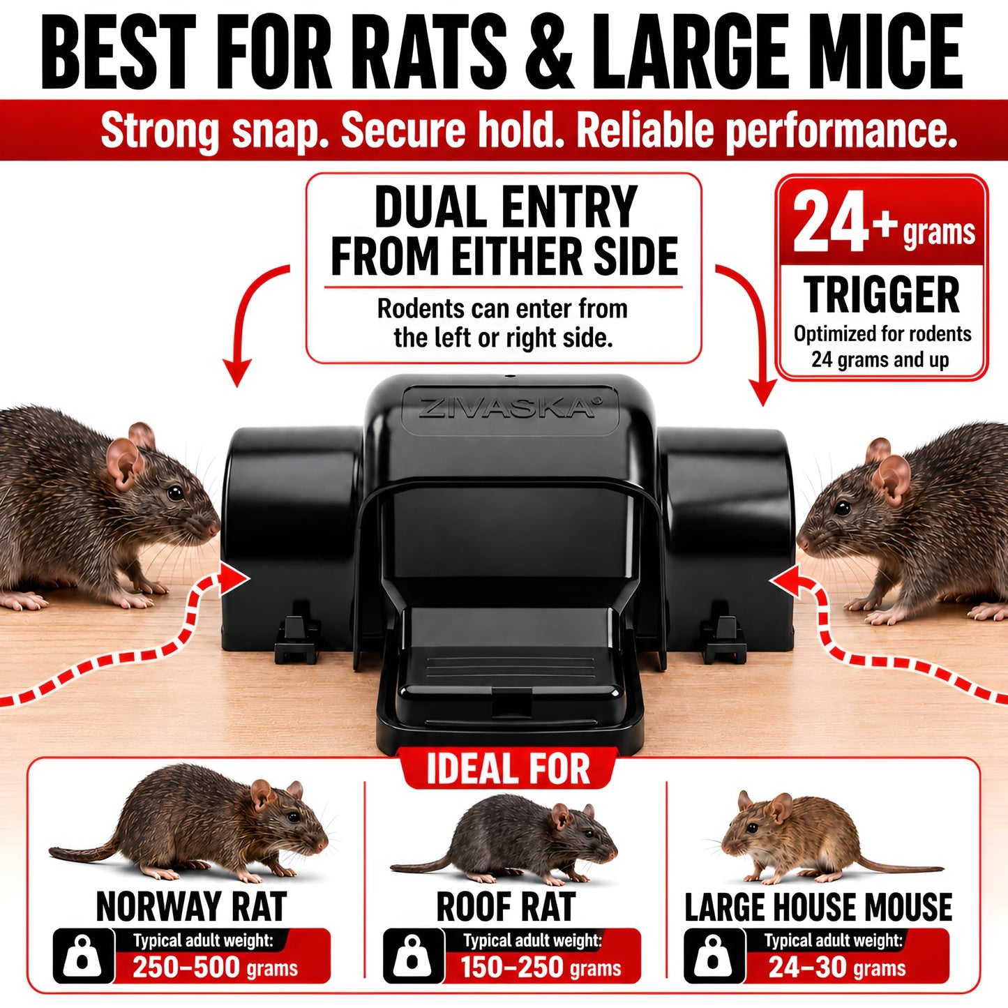 Rat Traps for Big & Large Rats Indoor & Outdoor, Big Mouse | Dual Tunneled Snap Trap | Pet & Kids Safe Design | Prevents Accidental Triggering | Reusable Heavy Duty Rat Trap that Works