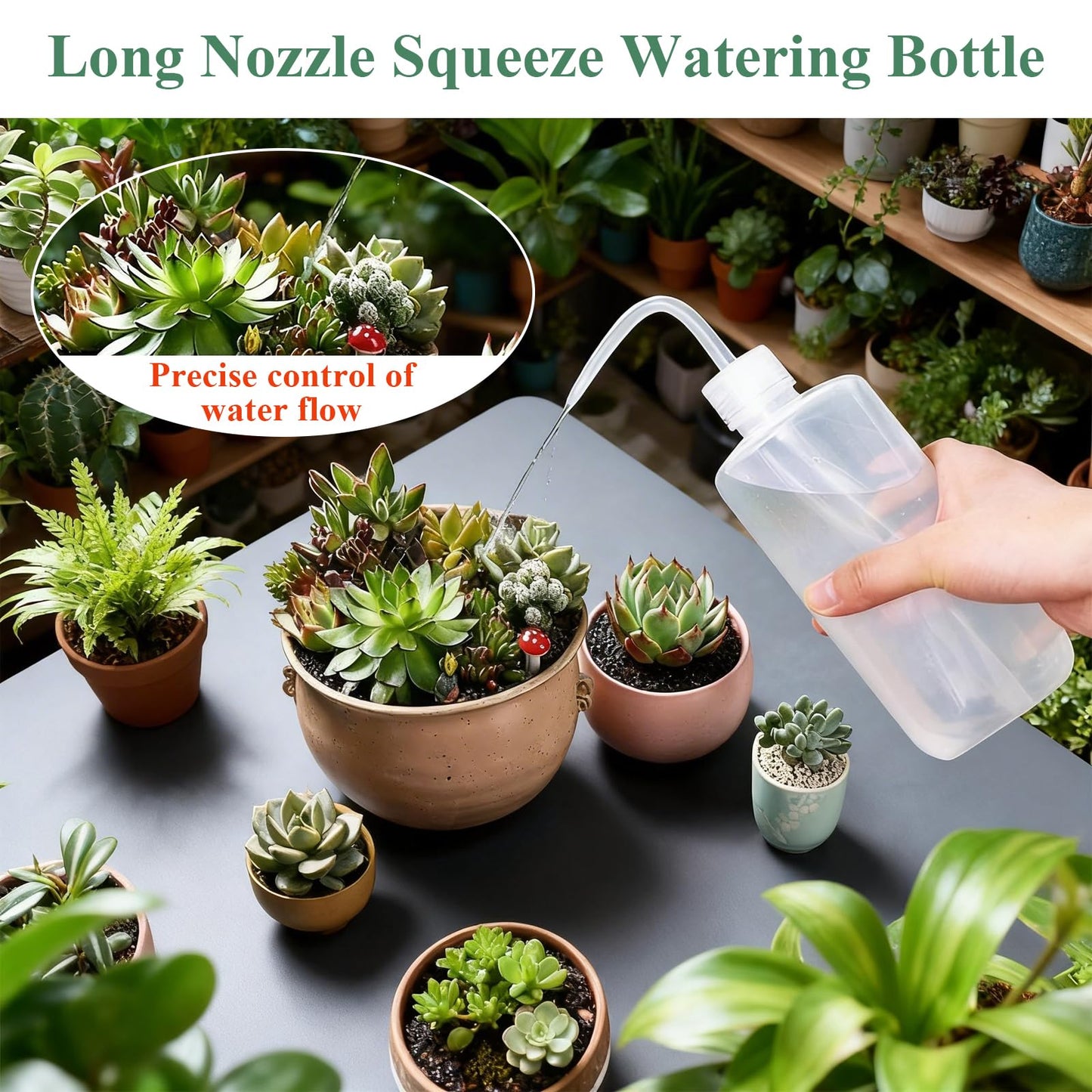 Boocalny 3Pcs Watering Can Indoor Plants Set,350ml Stainless Steel Long Spout Plant Watering Pot & 250ml Squeeze Bottle& 500ml Mist Spray Bottle,Mini Indoor Watering Can for House Garden Potted Flower