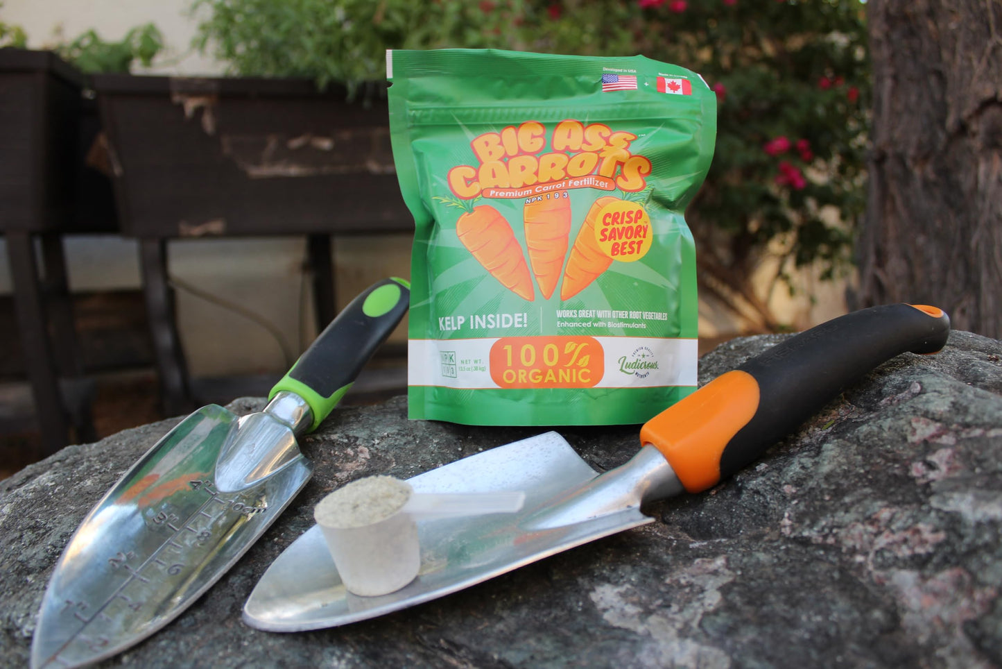 Big A Carrot Fertilizer and Root Vegetable Fertilizer – 13.5oz Premium Organic Plant Food for Indoor and Outdoor Vegetable Garden