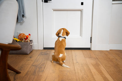 BKSAI Door Draft Stopper for Doors No Adhesive Draught Excluder Under Door Wind Sound Blocker for Bottom of Door,Reduce Noise Draught Excluder Sweep Sound Proof(Black)