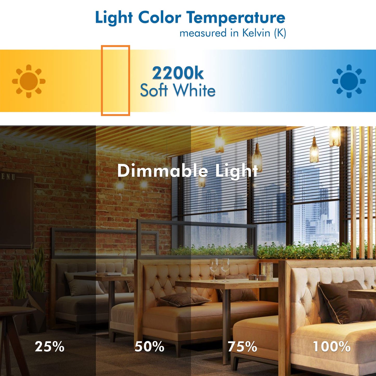 Xtricity Dimmable LED Filament G40 Vintage LED light bulb, Edison Style,5W (60 Watt Equivalent), E26 Medium Base, 2200k round led light bulbs, 500 Lumens, Ideal for String Lights and Vintage Lighting