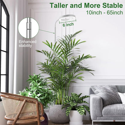 Wolezek Plant Light for Indoor Plants, 80 LEDs 6500K Full Spectrum Grow Light, 65in Large Grow Light, 3 Colors Grow Lamp with 360°Gooseneck, 6/12/16H Timer, 5 Brightness, Height Adjustable, White