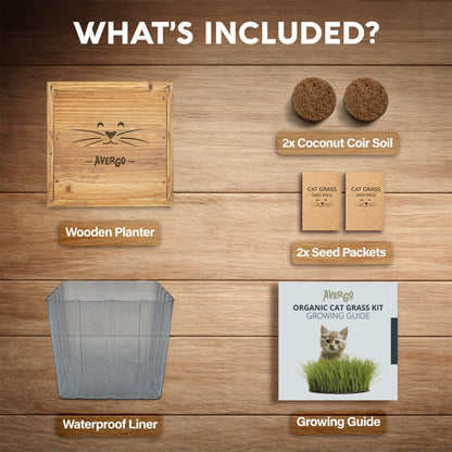 Cat Grass Kit for Indoor Cats – x2 Seed Packets | Cat Grass Seeds with Wooden Planter & Soil – Pet Wheatgrass Grass