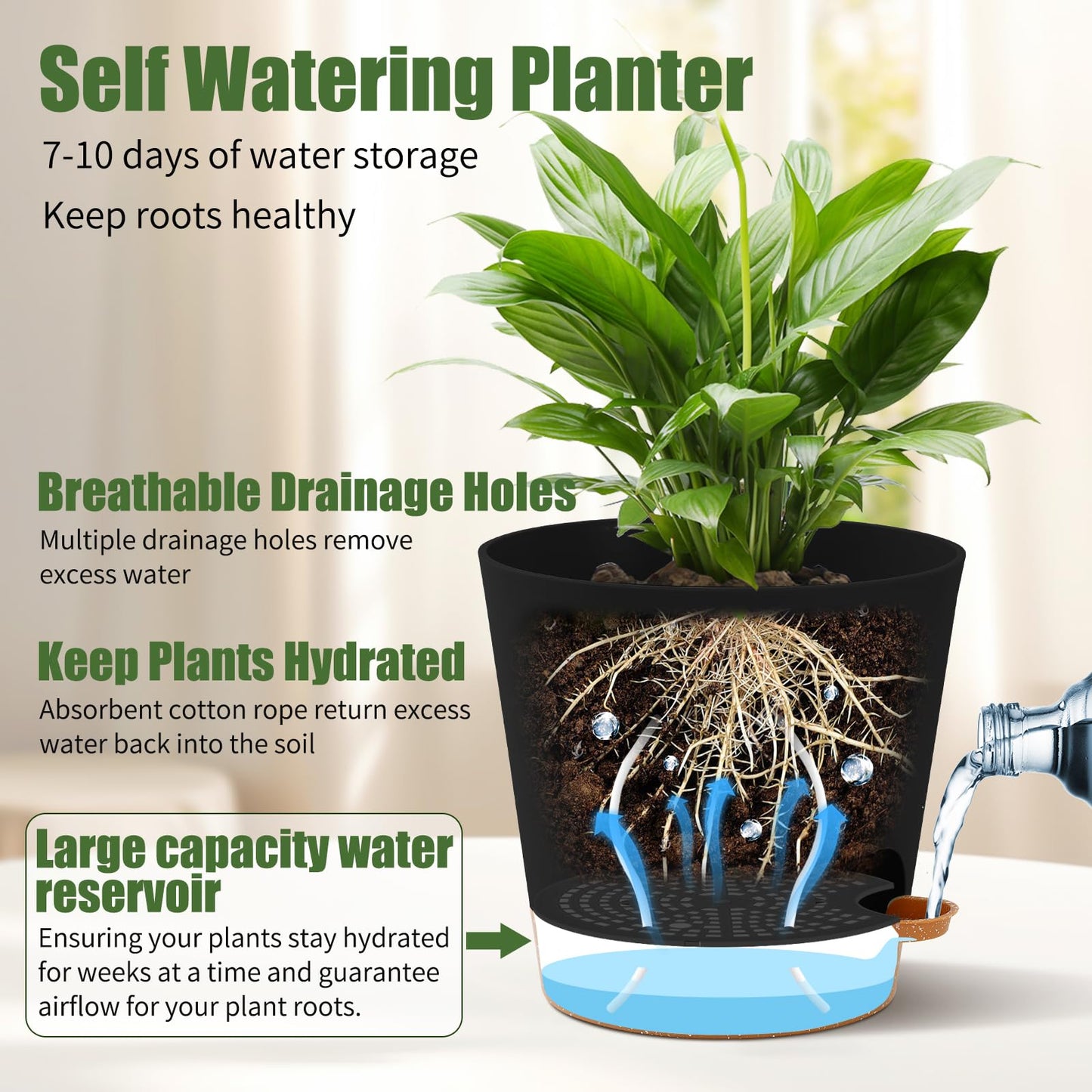 6 Pack Plant Pots Indoor 8/7/6.5/6/5.5/5 Inch Flower Pots Self Watering Planters for Indoor Plants with Drainage Hole Plastic Plant Pot for African Violet Cactus Flowers Succulents(Black)