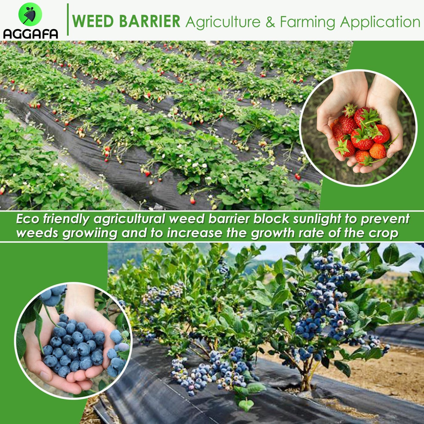 AGGAFA (2ft x 50ft) 100% Virgin Material Premium Heavy Duty Weed Barrier Fabric for Landscaping, Farming, Gardening and Agriculture. Durable Woven Landscape Fabric