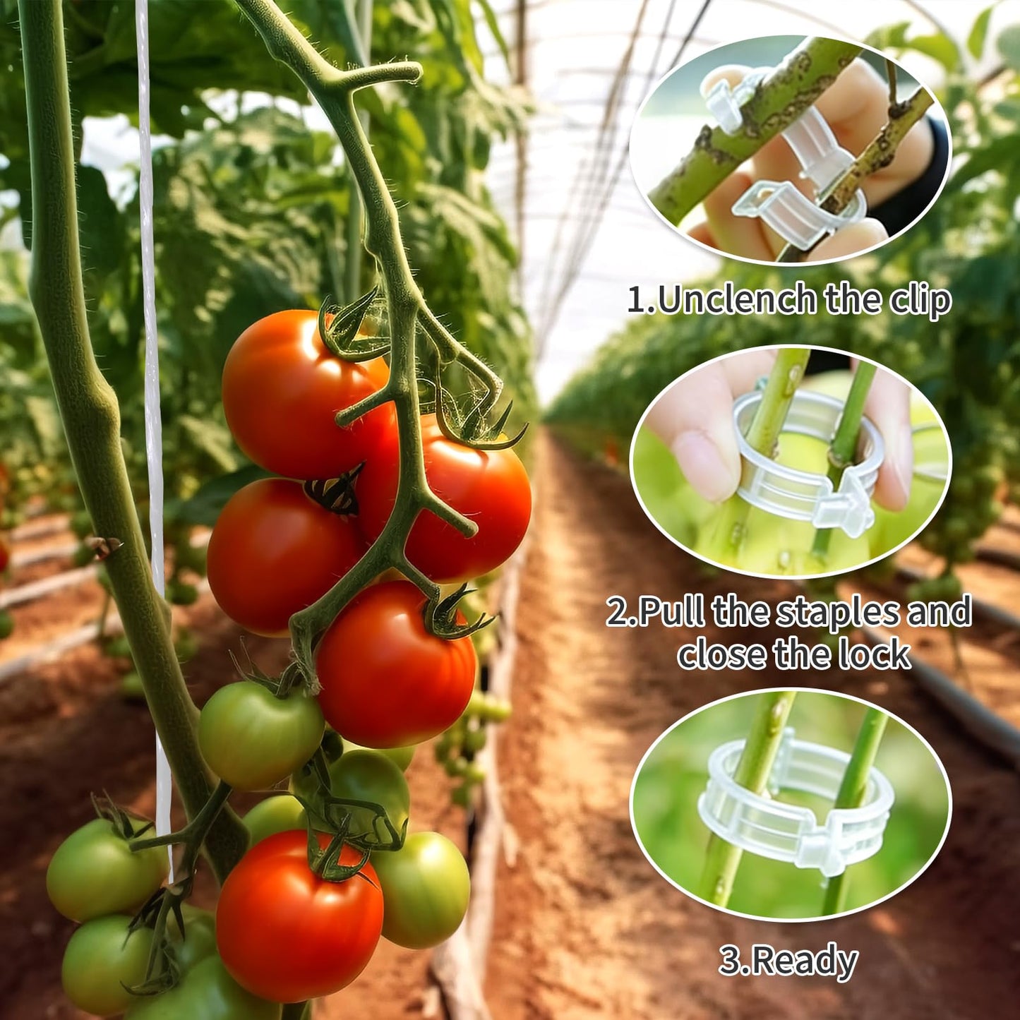 30pcs Tomato Hooks with String, 60pcs Tomato Plant Support Clips, 100 Pcs J-Hook, Tomato Holder Hooks with 33.3ft Tomato Twine for Climbing Plants Tomato Cucumber Cherry Vegetable