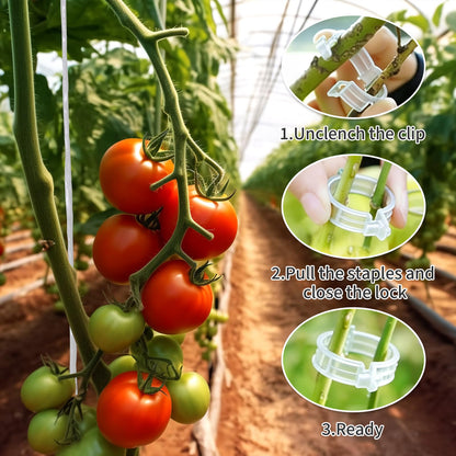 30pcs Tomato Hooks with String, 60pcs Tomato Plant Support Clips, 100 Pcs J-Hook, Tomato Holder Hooks with 33.3ft Tomato Twine for Climbing Plants Tomato Cucumber Cherry Vegetable