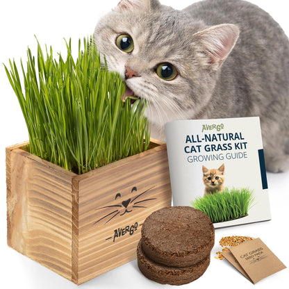 Cat Grass Kit for Indoor Cats – x2 Seed Packets | Cat Grass Seeds with Wooden Planter & Soil – Pet Wheatgrass Grass