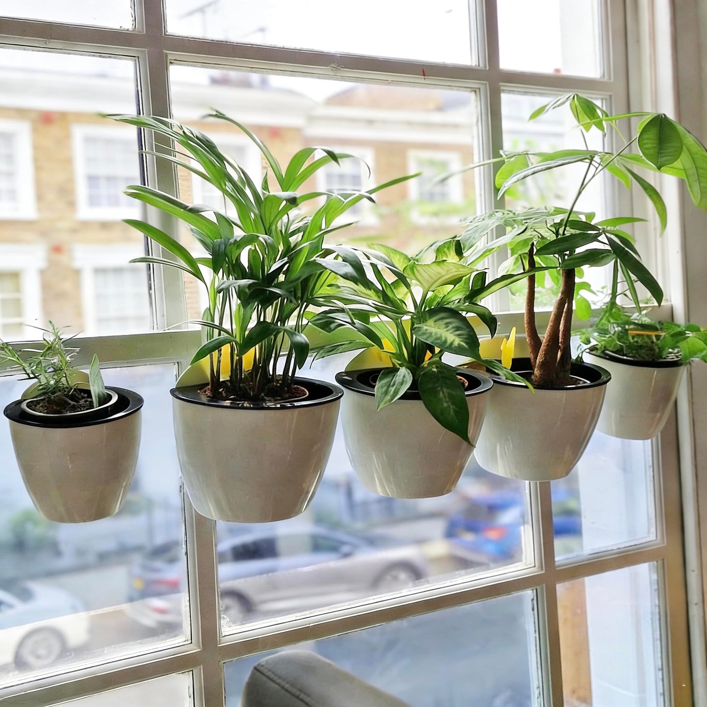 3 Pack Hanging Planter Pots Self Watering Vertical Garden Wall Mount Window Hang Round Plastic Container Indoor Outdoor for Plants Flowers Succulent Kitchen Living Herbs Holder Decor Decoration White