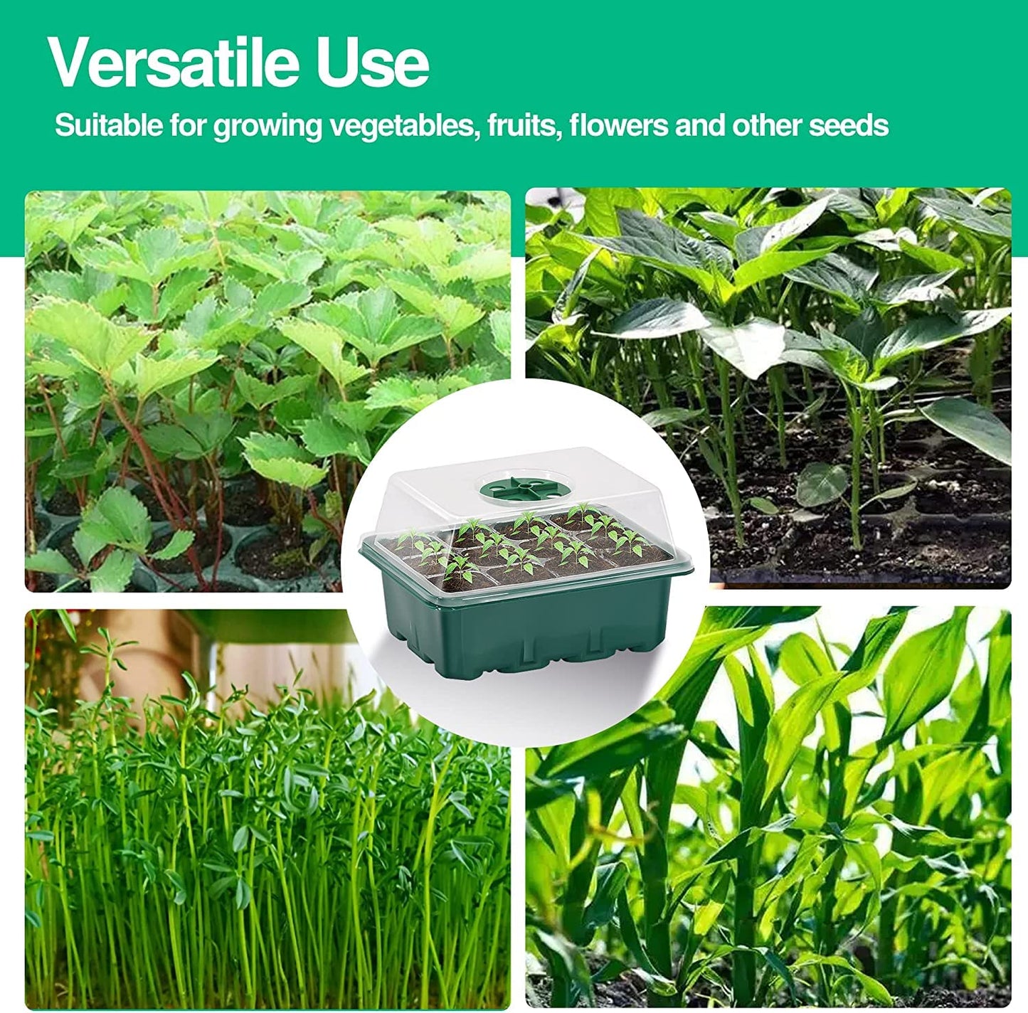 10 Packs Seed Starter Tray Seedling Tray (12 Cells Per Tray) Humidity Adjustable Plant Starter Kit with Dome and Base Greenhouse Grow Trays for Seeds Growing Starting
