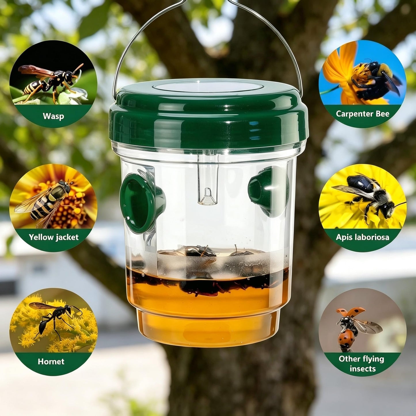 3 Pack Wasp Traps Outdoor Hanging, Carpenter Bee Cages, Wasps Outdoor Hanging, Jacket Cage for Outside Garden, Patio, Yard Within Hours Wasp Cage