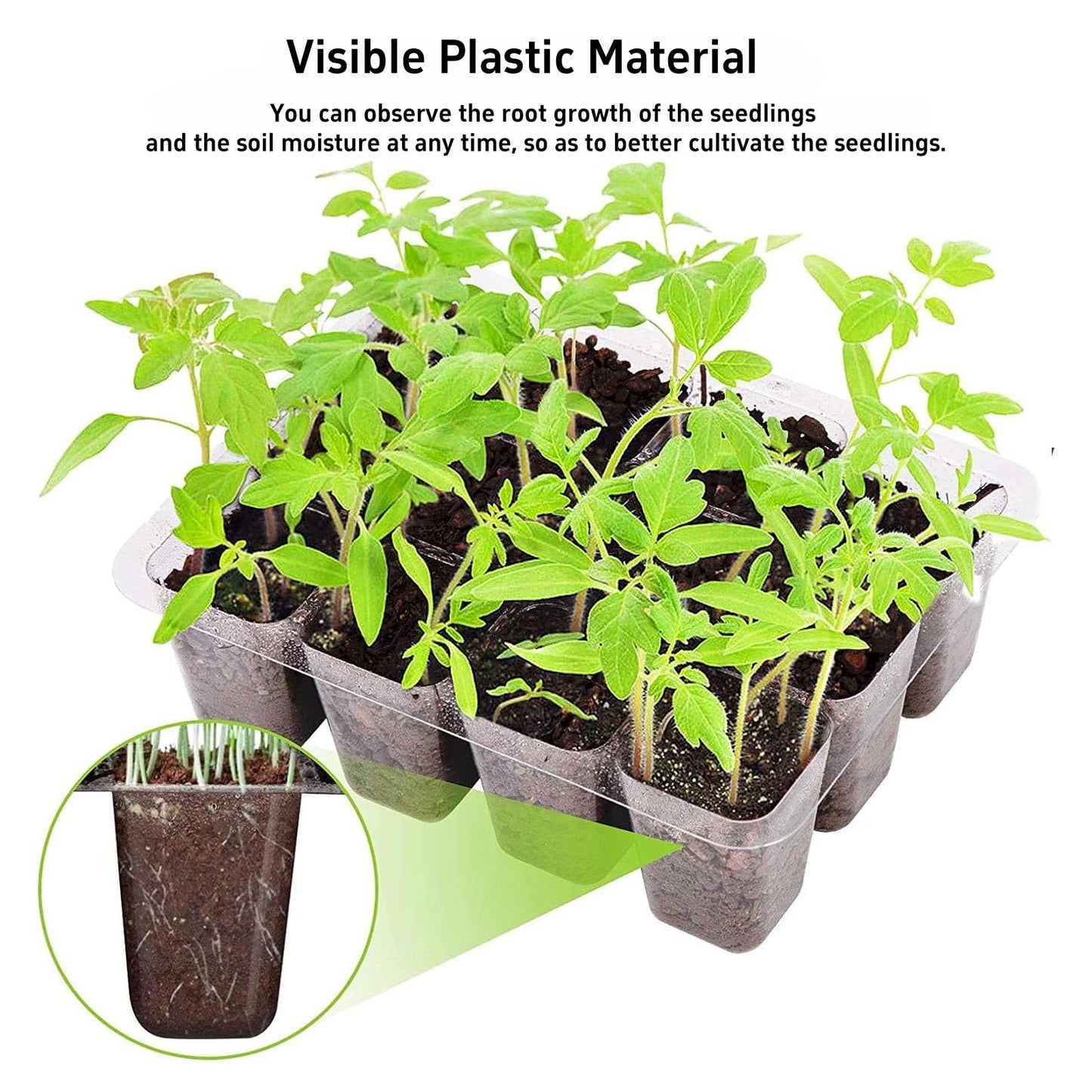 Danolt 5 Pack 60 Cell Seed Trays for Seedlings with Light, Heated Propagators for Seeds, Seed Trays with Lids, Includes 10 Pcs Plant Label and 2 Pcs Tools
