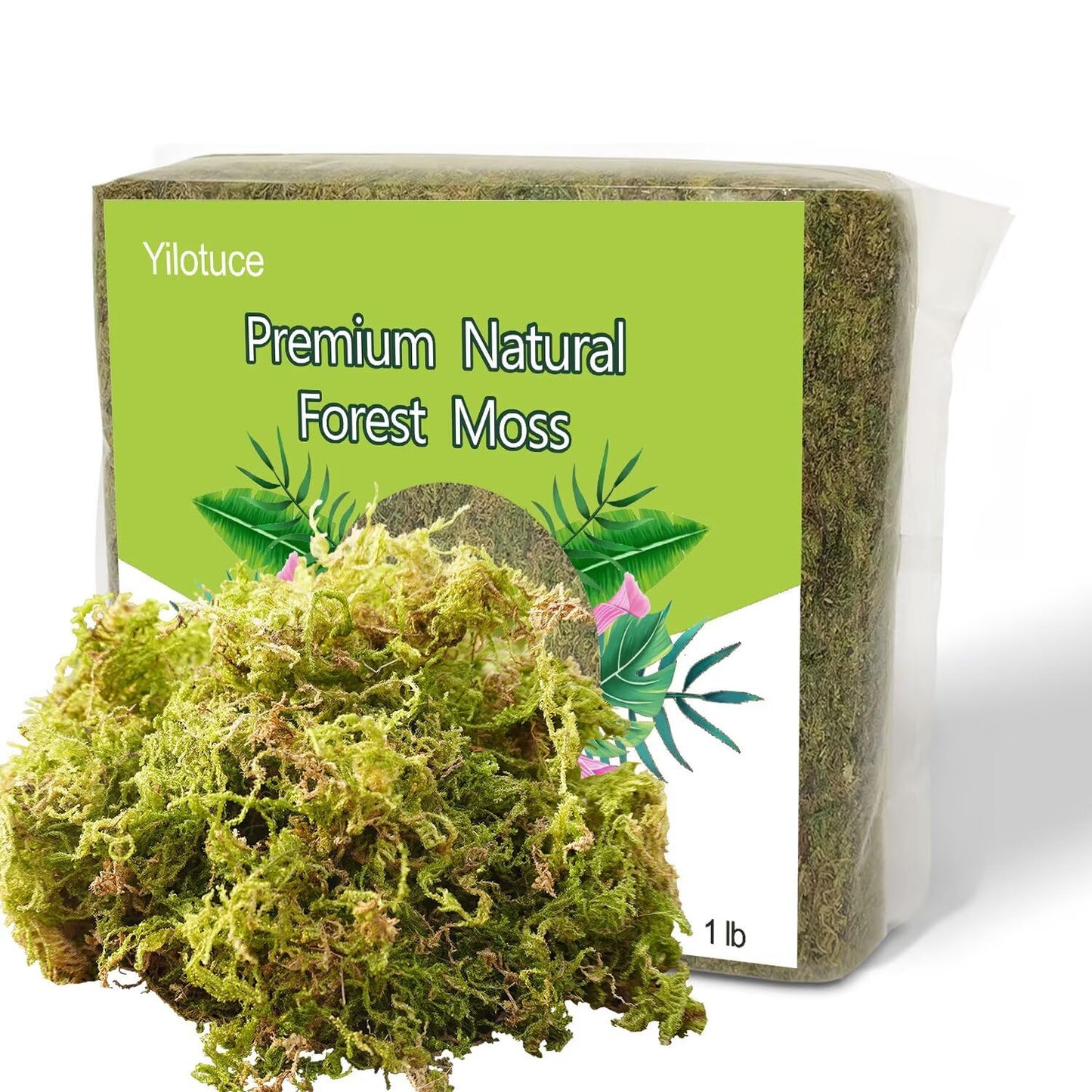 Yilotuce 1 lb Natural Orchid Moss for Potted Plants, Nice Soilless Potting Soil for Seedling and Cutting, Good Idea for Reptile Terrarium, Crafts, Garden Decoration