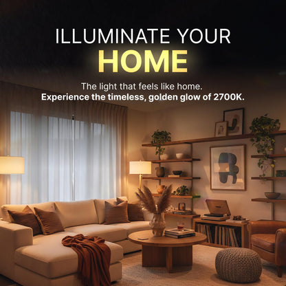 A19 Frosted Incandescent Rough Service Light Bulb, 60 Watt, Long Life - 3,000 Hours, 2700K Soft White, E26 Medium Base, 550 Lumens, 130V (12 Pack)