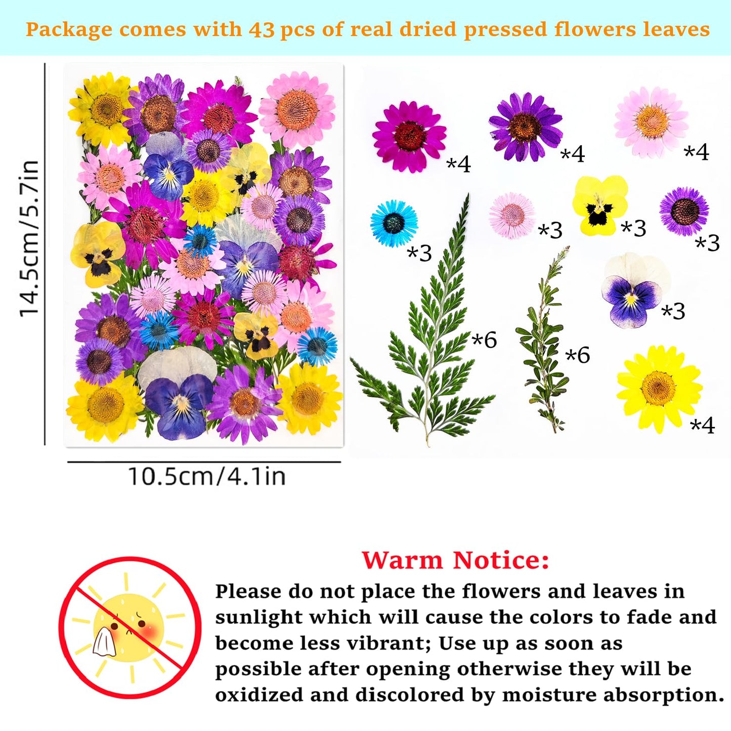Cardstock Blank Bookmarks Set, 12 Pcs DIY White Craft Bookmarks for Pressed Flowers, Dried Floral Book mark Making Kit with 43 Pcs Pressed Flowers, 12 Pcs Tassels, DIY Book marks for Dried Floral