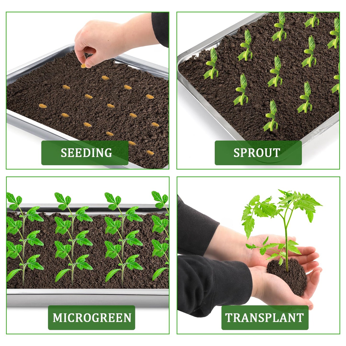 Youeon 10 Pack Seed Starter Tray 15.3x11.4x1.3 Inch, Stainless Steel Seed Sprouting Trays Germination Trays for Beans, Wheat Grass, Herbs, Broccoli & More, Plant Trays for Indoor Outdoor
