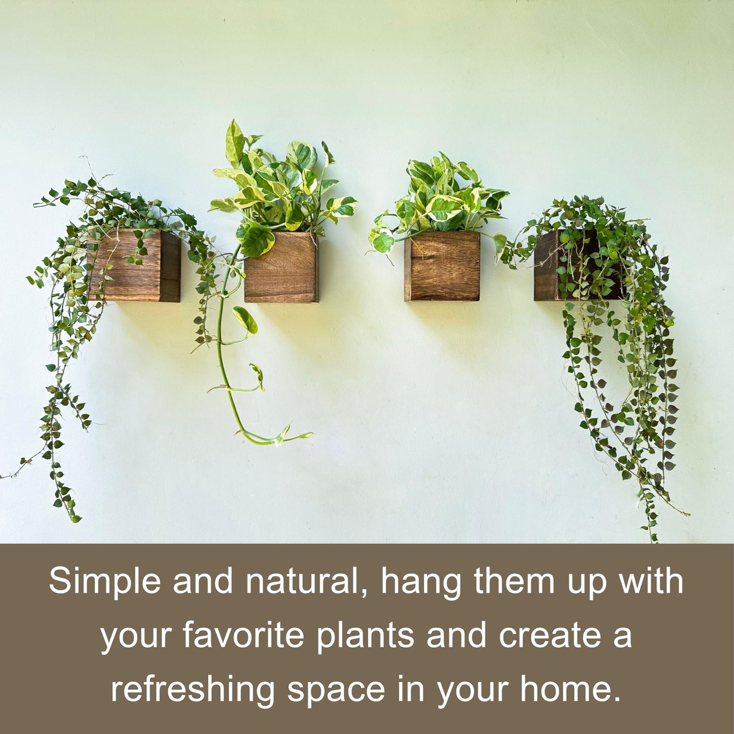 LaLaGreen Wood Planter Box for Plants (4x4 Inch, 6 Pack) Small Square Wooden Wall Planters for Indoor Plant, Hanging Window Flower Boxes Herb Planter Table Centerpiece Modern Home Garden Office Decor
