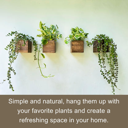 LaLaGreen Wood Planter Box for Plants (4x4 Inch, 6 Pack) Small Square Wooden Wall Planters for Indoor Plant, Hanging Window Flower Boxes Herb Planter Table Centerpiece Modern Home Garden Office Decor