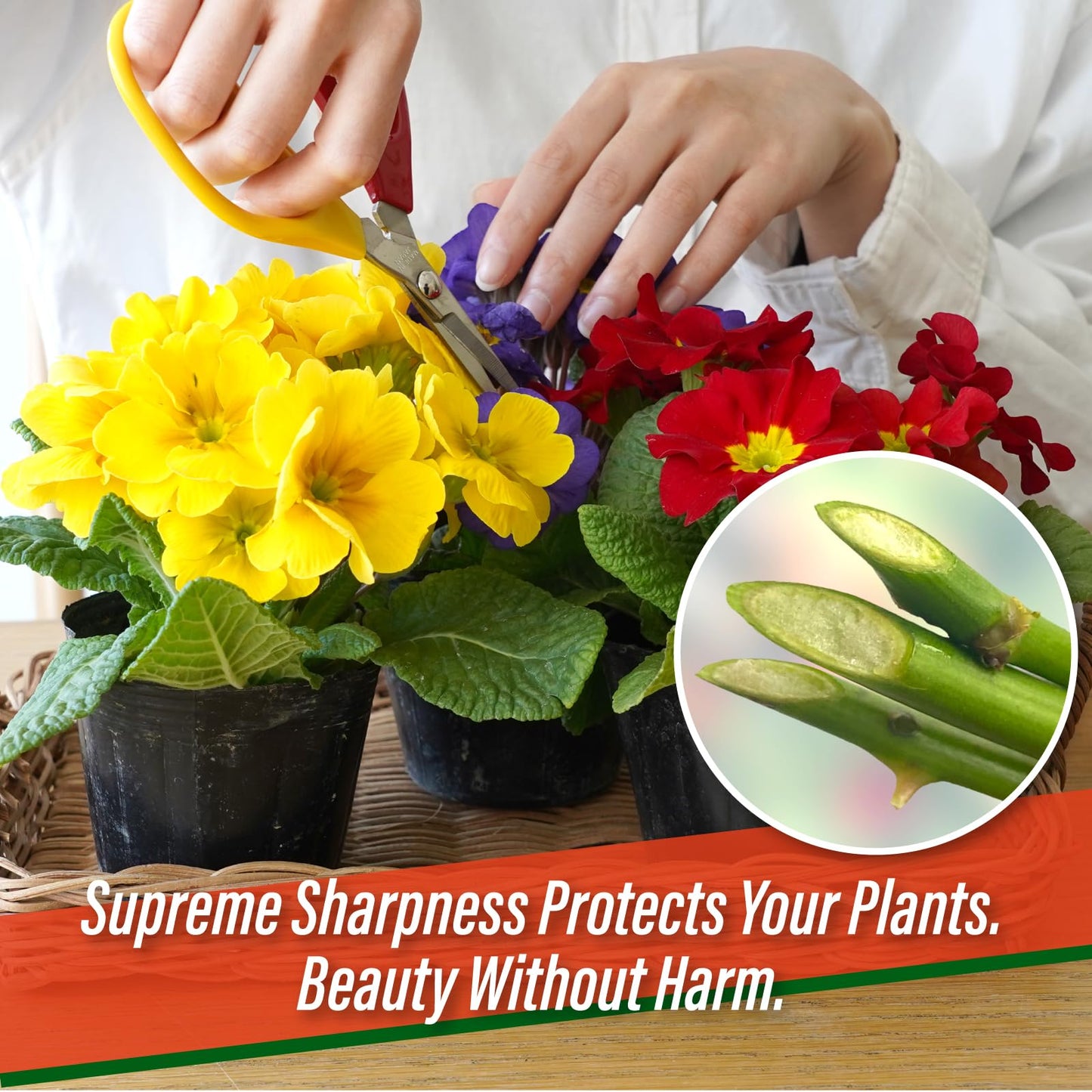 SUIZAN Trimming Scissors 6” - Professional Japanese Garden Plant Herb Buds Flower Shears Gardening Tools