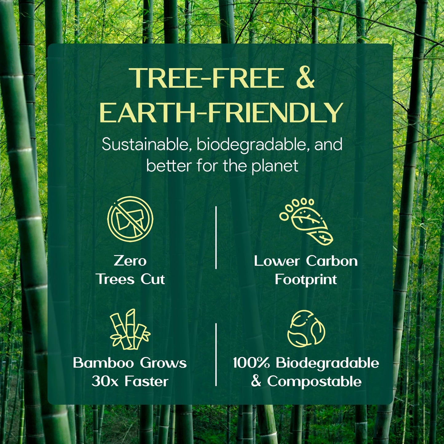 100% Bamboo Toilet Paper | 3-Ply – Strong & Absorbent | Tree-Free, FSC Certified, BPA/PFAS-Free | Septic-Safe, Lint-Free | 6 Rolls (1800 Sheets) | PALM NAKI