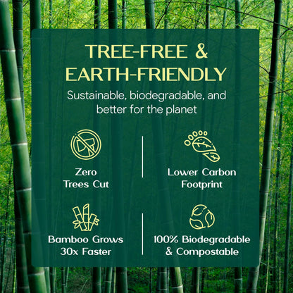 100% Bamboo Toilet Paper | 3-Ply – Strong & Absorbent | Tree-Free, FSC Certified, BPA/PFAS-Free | Septic-Safe, Lint-Free | 6 Rolls (1800 Sheets) | PALM NAKI