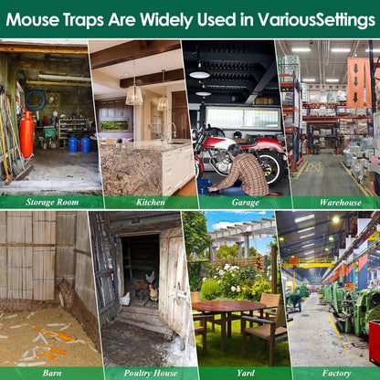 AGJIQ Humane Mouse Trap, Rat Trap Cage, Suitable for Indoor & Outdoor Use, Live Catch & Release Design for Mice, Chipmunks, Voles, Hamsters and Other Small Rodents(Black Single Unit)