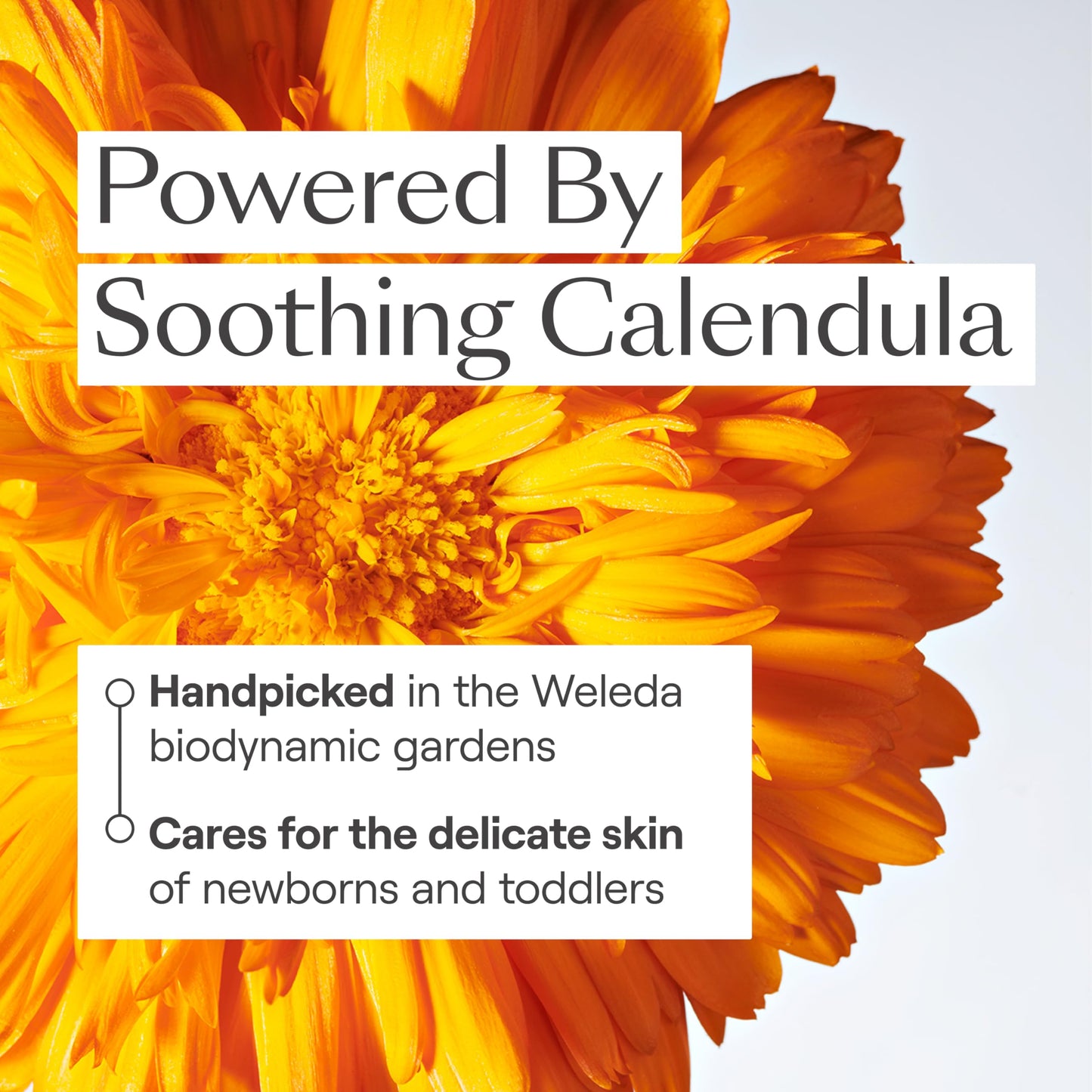 Weleda Baby 2-in-1 Gentle Shampoo and Body Wash, 6.8 Oz