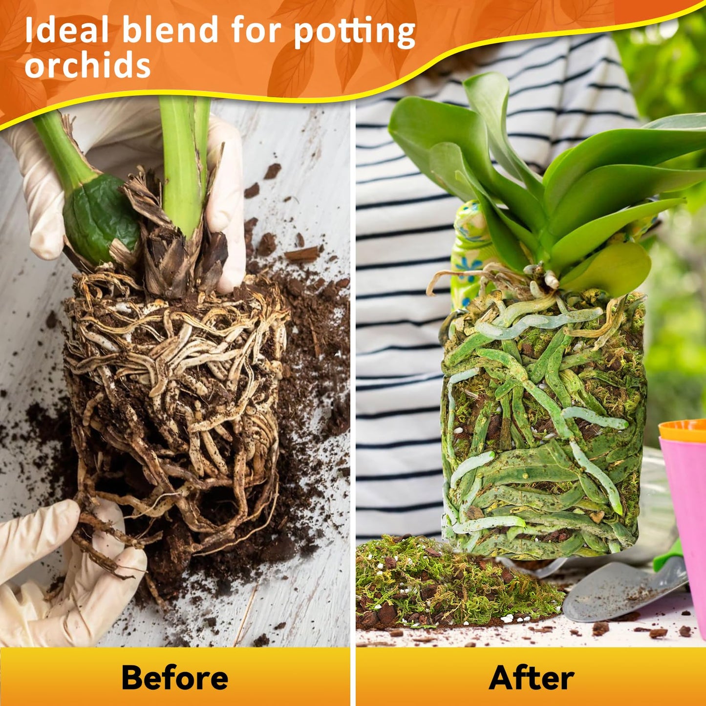 Riare 2L Orchid Potting Mix for Repotting- Orchids Repotting Kit Include Moss, Pine Bark, Perlite, Coco Peat- Premium Orchid Soil Medium for Indoor Potted Plants Root Ventilation & Expanding