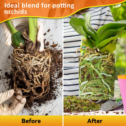Riare 2L Orchid Potting Mix for Repotting- Orchids Repotting Kit Include Moss, Pine Bark, Perlite, Coco Peat- Premium Orchid Soil Medium for Indoor Potted Plants Root Ventilation & Expanding