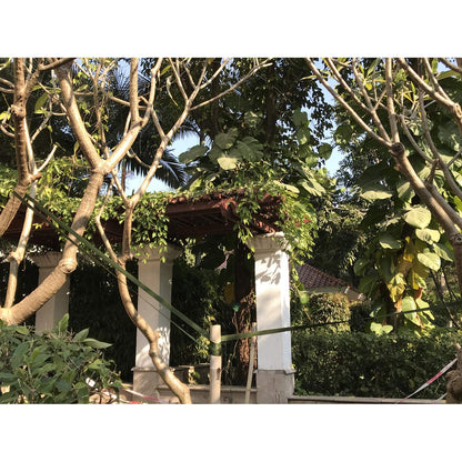 160FT Tree Tie Straps for Staking, Tree and Plant Supports for Effective Growing Green Blend in with Landscaping for Guying Young Trees Straight (1,850 Lbs Strength, Green)