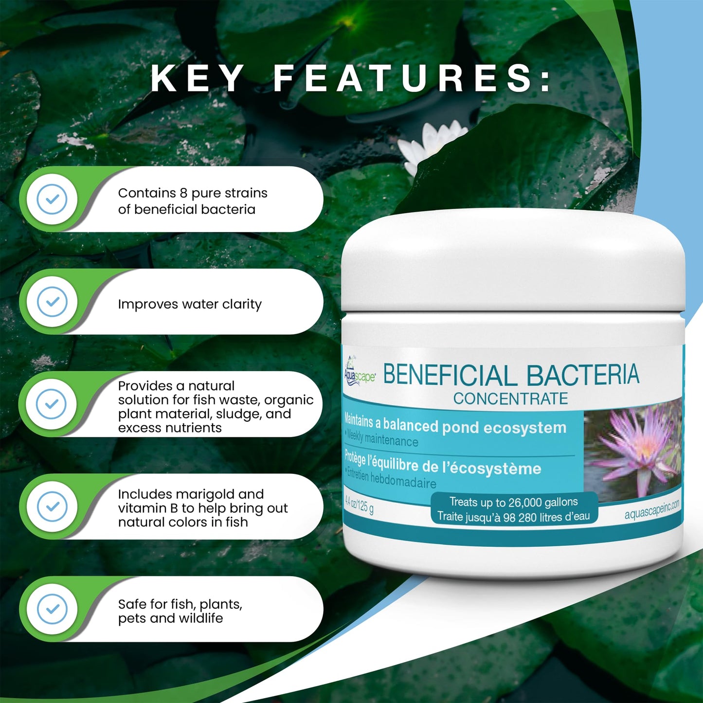 Aquascape 98948 Dry Beneficial Bacteria for Pond and Water Features, 8.8-Ounce