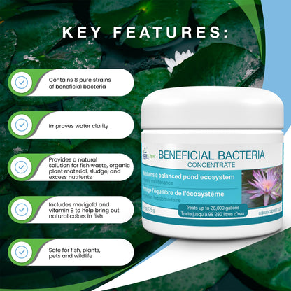 Aquascape 98948 Dry Beneficial Bacteria for Pond and Water Features, 8.8-Ounce