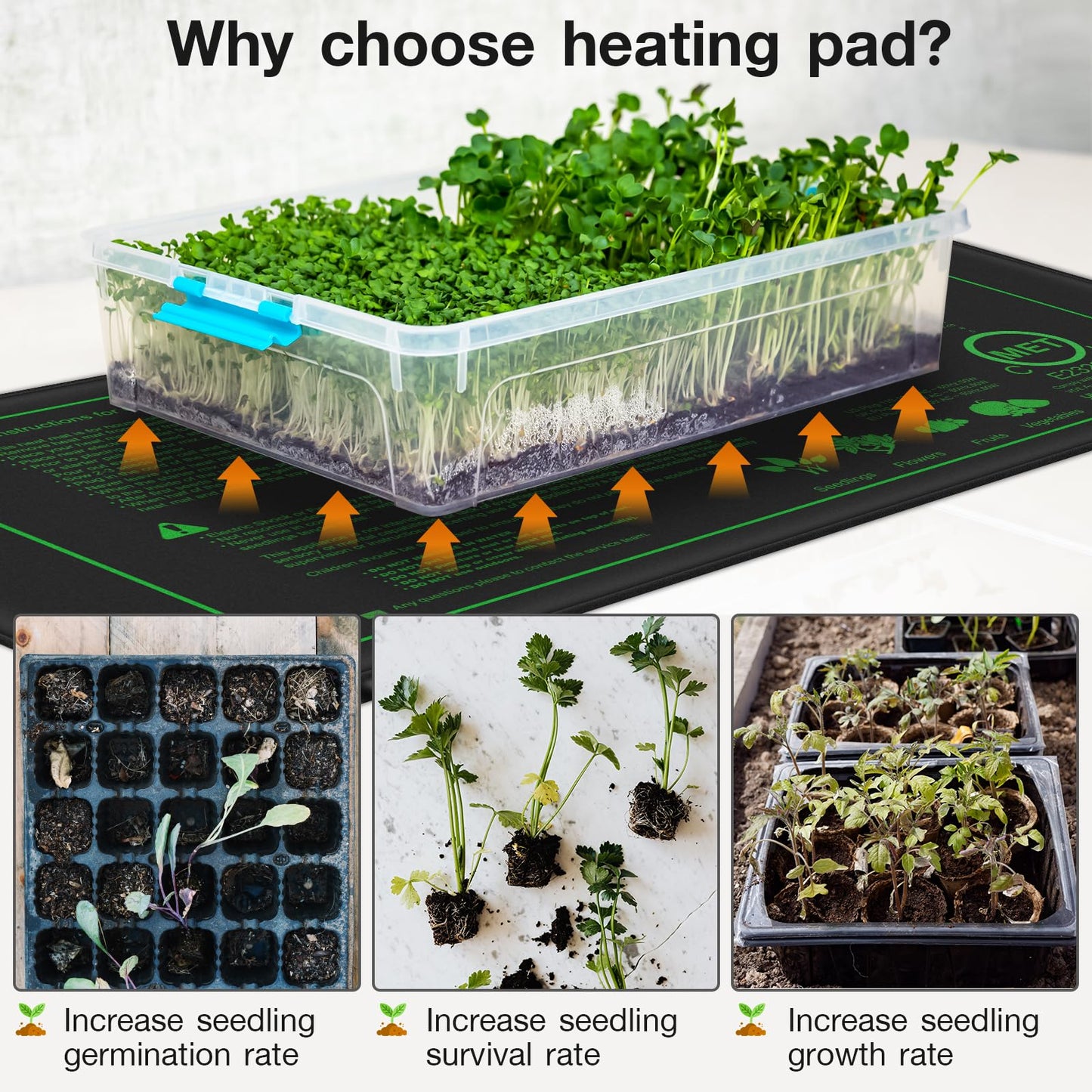 50W Seedling Heat Mat with Digital Thermostat, Fast Heating, Adjustable Temperature, Waterproof & Durable, Warm Hydroponic Heating Pad for Germination, Indoor Gardening, Greenhouse, 1-Pack