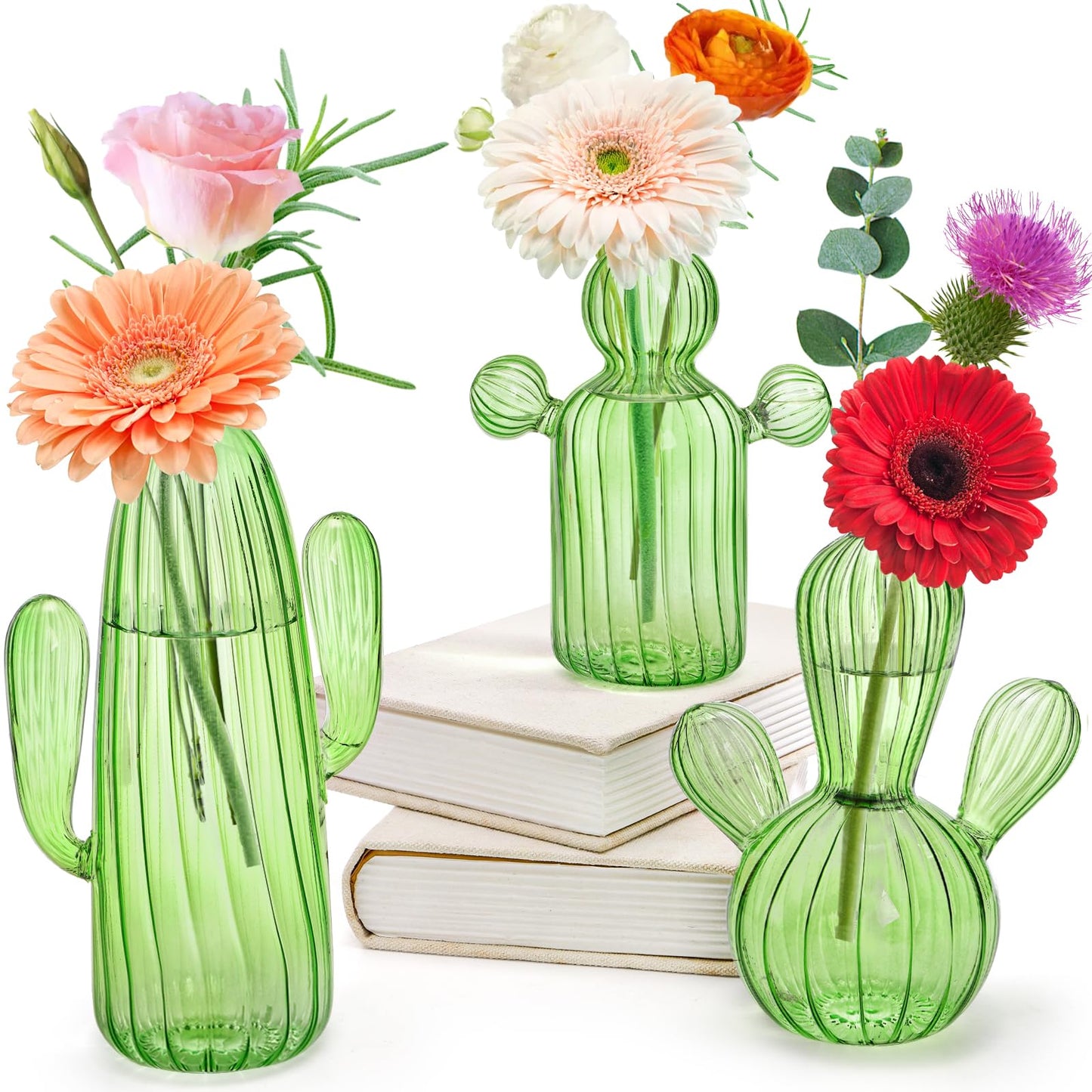 Suwimut 3 Pack Cactus Plant Propagation Station, Mini Terrarium Glass Vases for Indoor Plants, Small Hydroponic Pots for Flowers, Cute Glass Planters Gifts for Women Home Garden Decor
