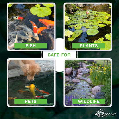 Aquascape 98948 Dry Beneficial Bacteria for Pond and Water Features, 8.8-Ounce