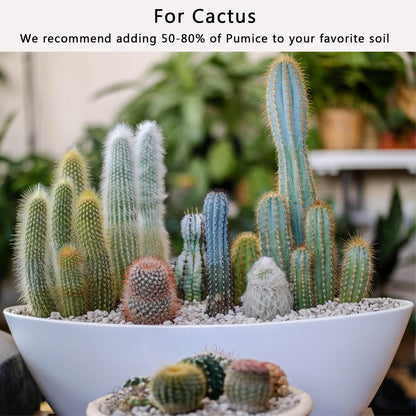 Pierre Ponice Naturelle Pour Plantes – Substrat Drainant Pour Succulentes, Cactus, Bonsaïs et Orchidées | Améliore l'Aération du Sol, Rétention D'eau 55%, pH Neutre (Sac 5 QT)