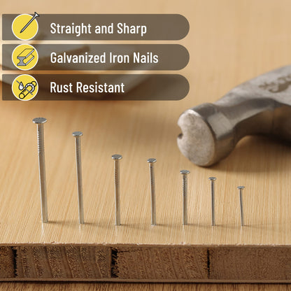 Mr. Pen Nail Assortment Kit, 1500 Pcs, Assorted 12 Sizes Brad Head and Flat Head Zinc-Galvanized Nails, Suitable for General Repairs and Hanging Pictures
