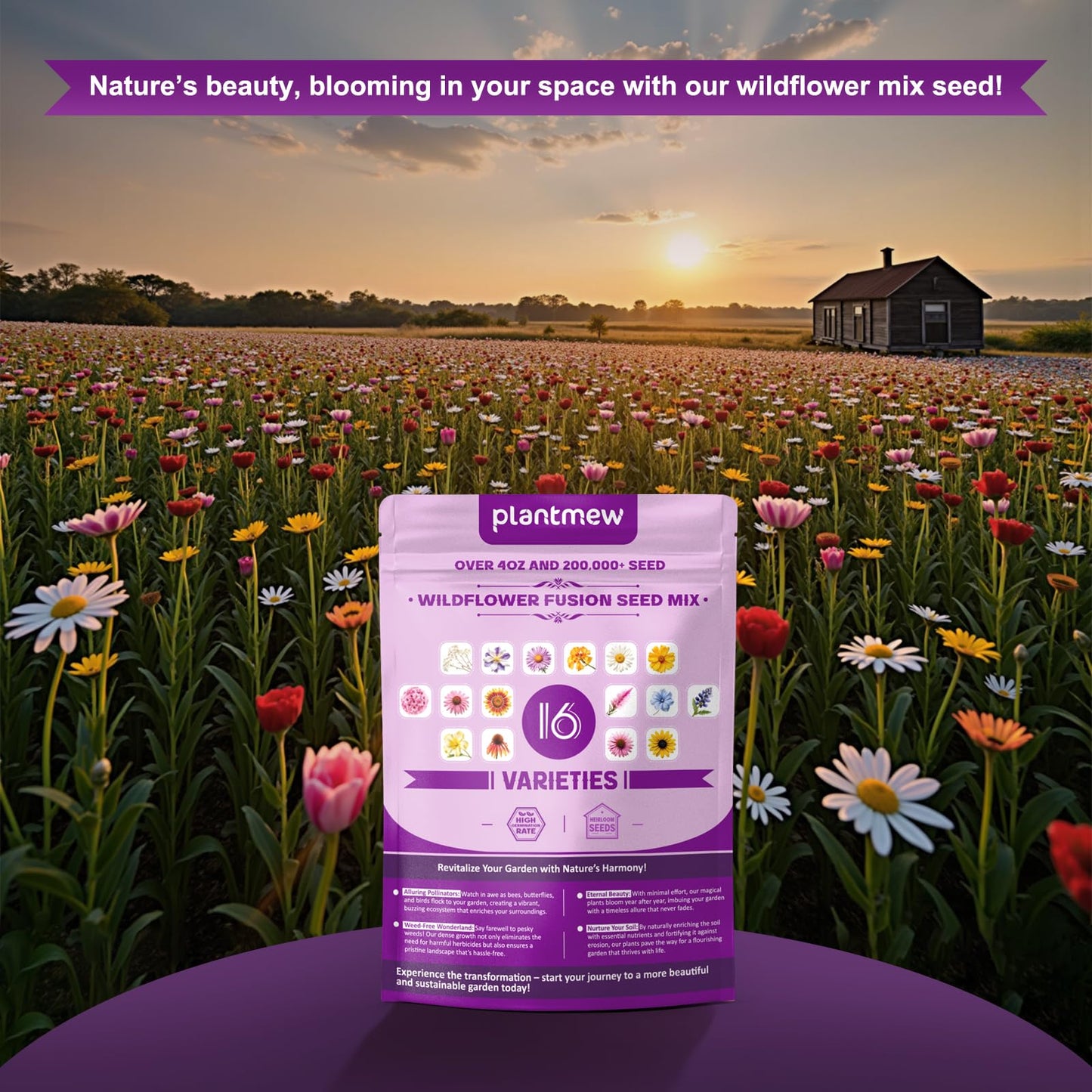 200,000+ Wildflower Seeds [4oz] 16 Variety Perennial Mix - USA-Sourced Seeds for Pollinator Gardens | Attracts Bees/Birds/Butterflies | High Germination Rate for Indoor & Outdoor