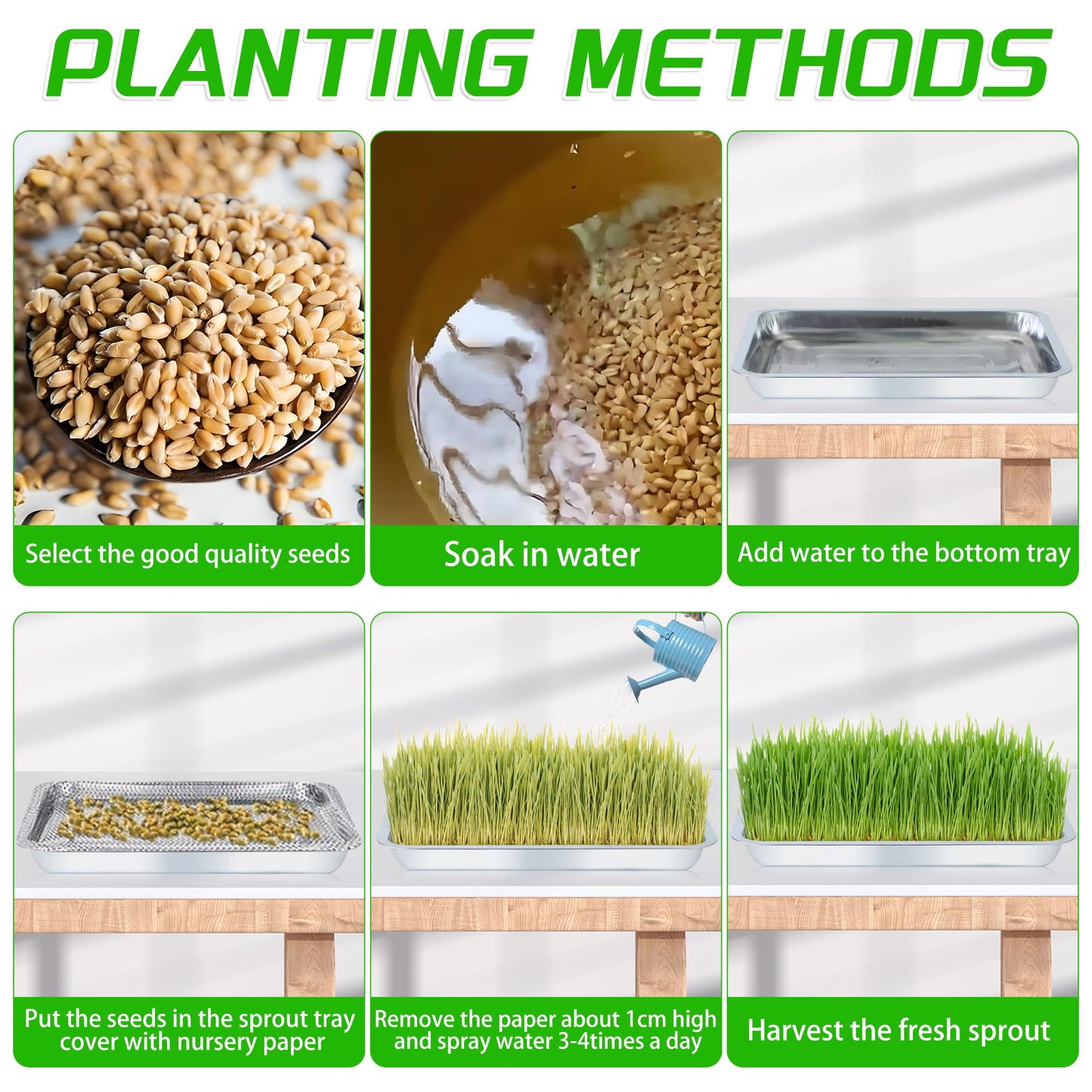 WBCBEC Stainless Steel Plant Trays, Multi-Purpose Tray for Indoor Outdoor Plants Stainless Steel Sprouting Trays Stainless Steel Seed Sprouting Kit Seed Sprouter Tray Seed Starting Trays (6PCS)