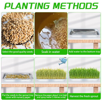WBCBEC Stainless Steel Plant Trays, Multi-Purpose Tray for Indoor Outdoor Plants Stainless Steel Sprouting Trays Stainless Steel Seed Sprouting Kit Seed Sprouter Tray Seed Starting Trays (6PCS)