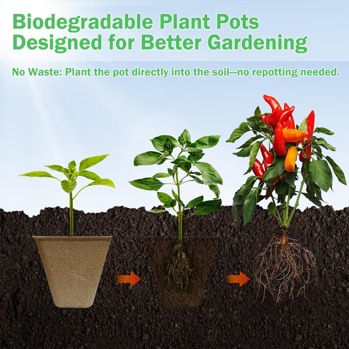 Doubleggs 150 Packs Square Peat Pots, 3.15-Inch Biodegradable Seed Starter Pots for Germination, Nursery Planting Trays with 100 Labels and 2 Transplant Tools