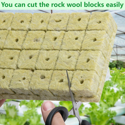 144Pcs Rockwool Grow Cubes - 1.5×1.2×1.2Inch Stonewool Starter Plugs for Rapid Plant Growth - Starter Cubes Plugs with Holes for Hydroponic, Seeds Germination and Soilless Growing