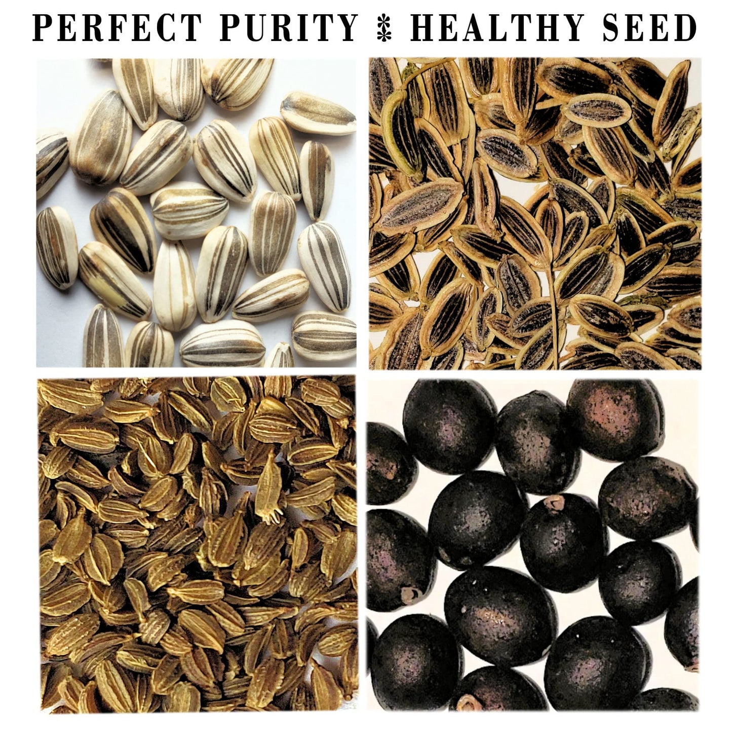 25 Packs Sachets Flowers Varieties Heirloom Seeds Packets Seeds with 25 Planting Labels 100% Non-GMO. Sachets de graines potagères