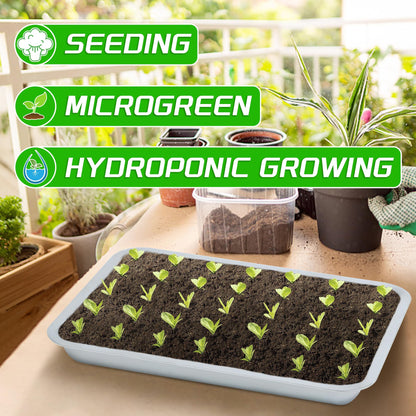 WBCBEC Stainless Steel Plant Trays, Multi-Purpose Tray for Indoor Outdoor Plants Stainless Steel Sprouting Trays Stainless Steel Seed Sprouting Kit Seed Sprouter Tray Seed Starting Trays (6PCS)