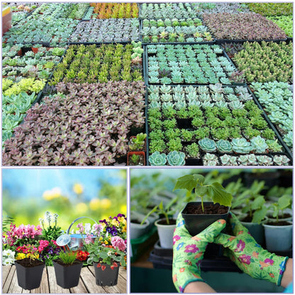YELINTIAN 100 Pcs Square Seedling Nursery Pots, 2.76Inches Plastic Plant Seedling Pot with Drainage Hole Saucers for Flower, Succulent, Herb, Small Potted Plants