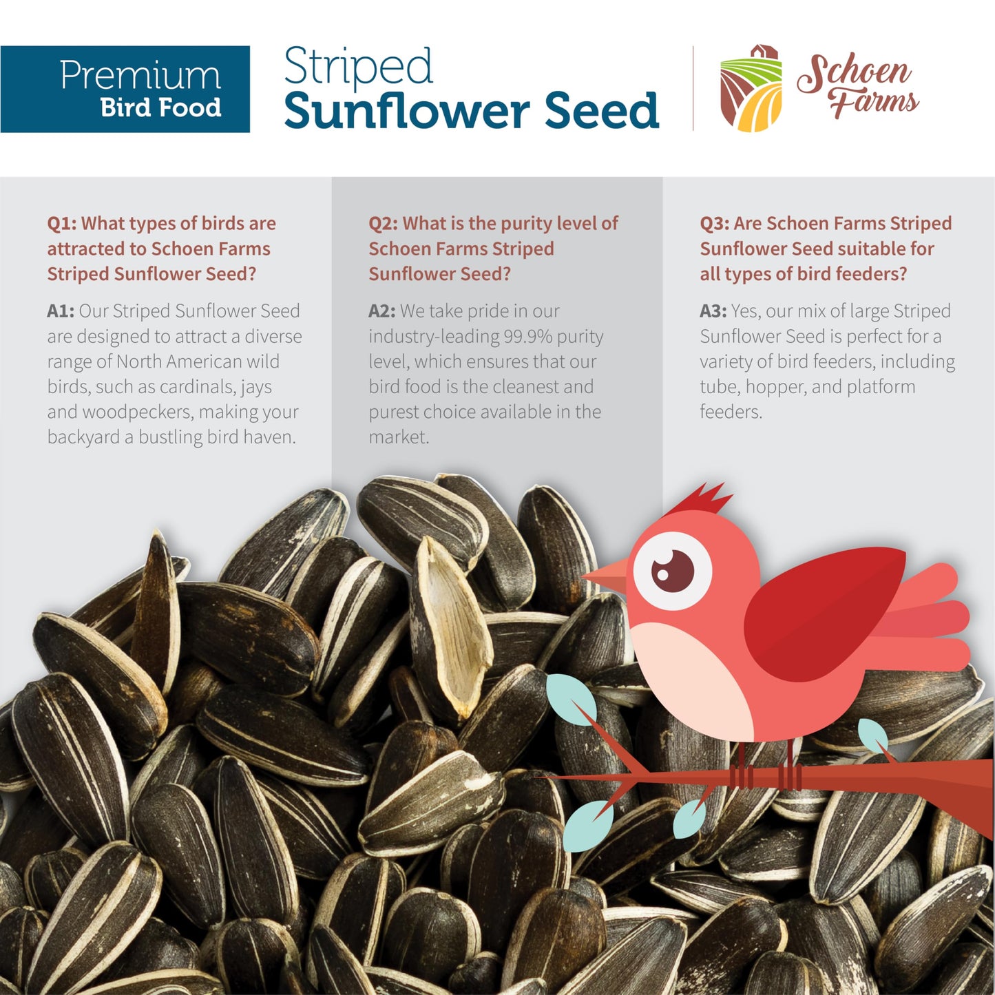 Schoen Farms Striped Sunflower Seeds for Birds, (5 Pound)