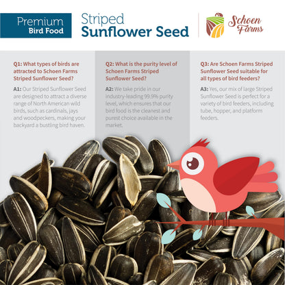 Schoen Farms Striped Sunflower Seeds for Birds, (5 Pound)