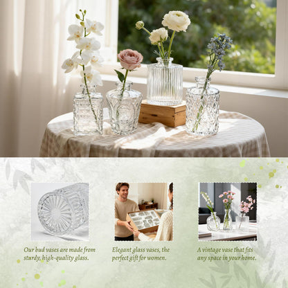 Der Rose 12pcs Small Glass Bud Vases Bulk, Clear Flower Vases for Home Dining Table & Wedding Centerpieces Decor